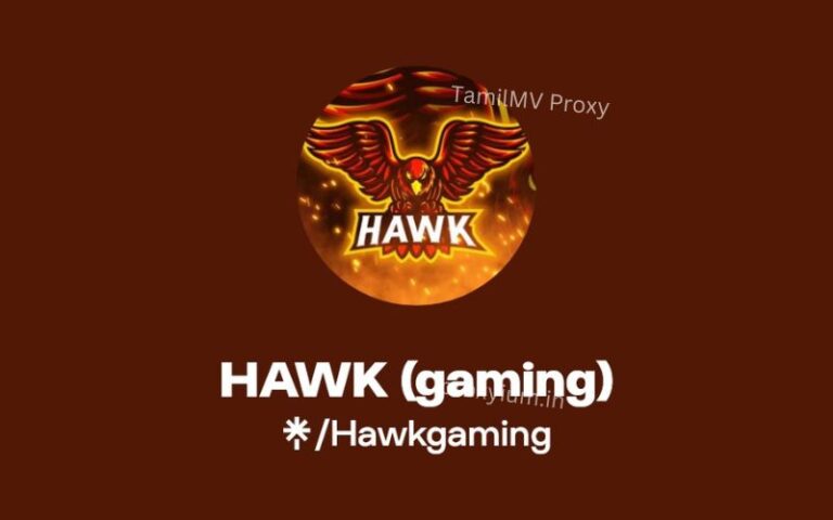 HawkGaming